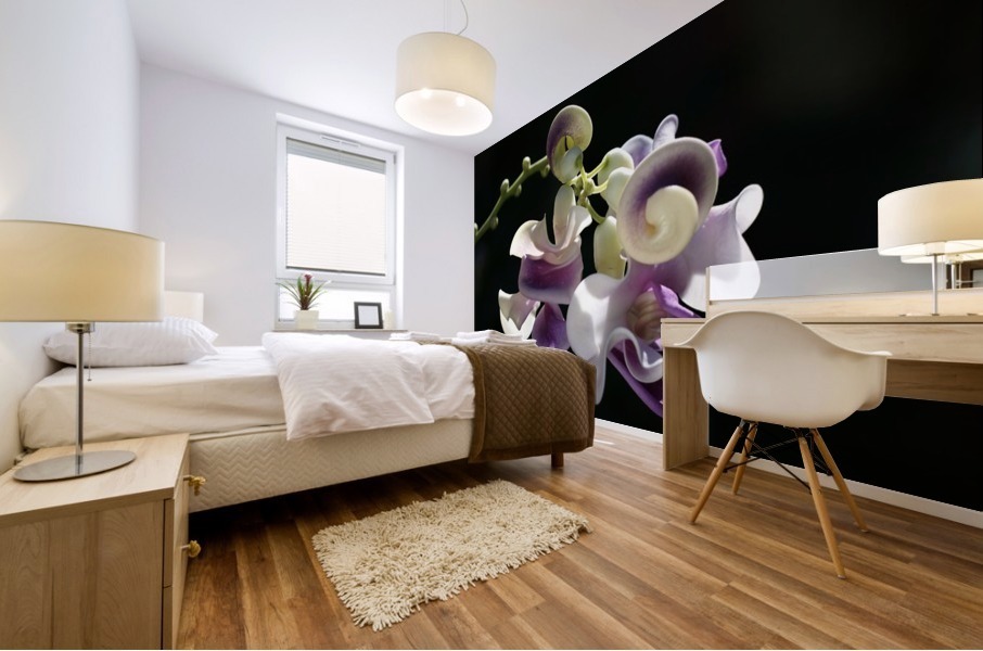 Corkscrew Flower Mural print