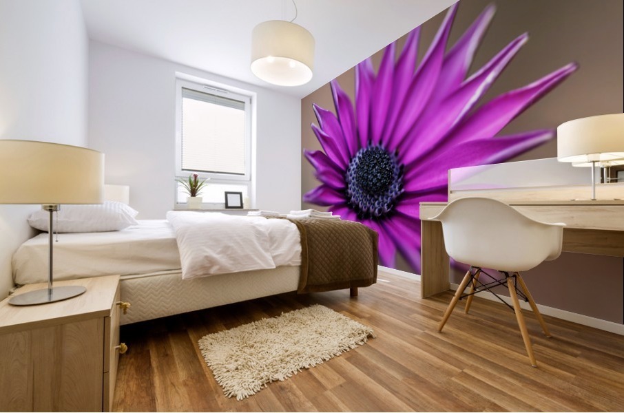 Purple Daisy Mural print
