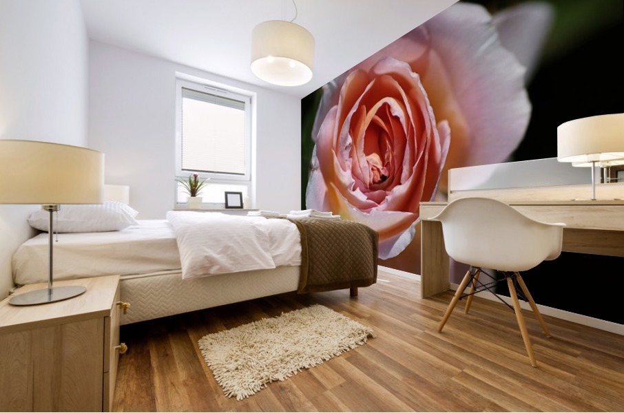 Romantic Rose Mural print