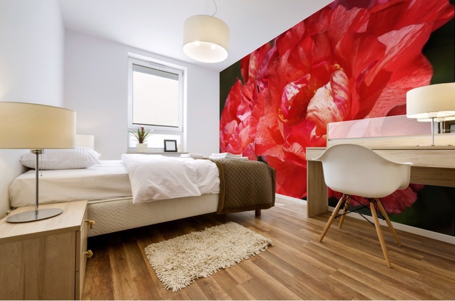 Bright Red Roses Mural print