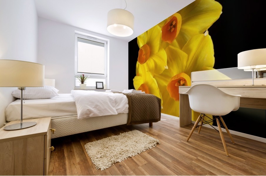 Yellow Jonquils Mural print