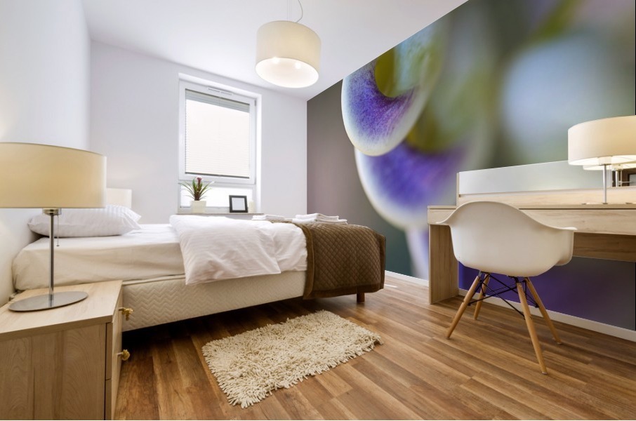 Corkscrew Flower Close Mural print