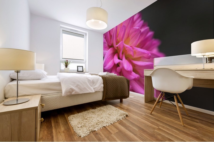 Bold Dahlia Mural print