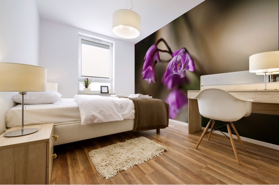Australian Native Orchid Mural print