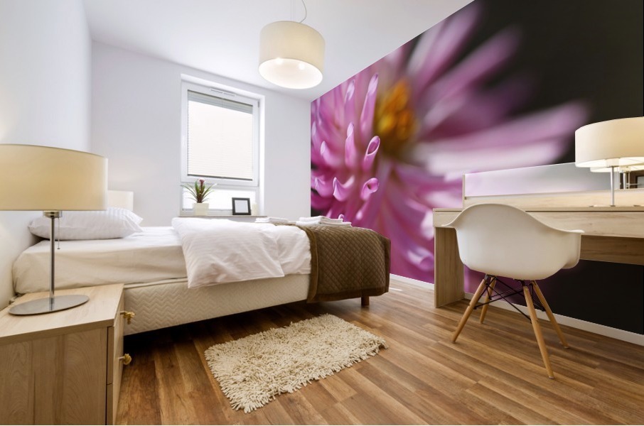 Dahlia Pink Mural print
