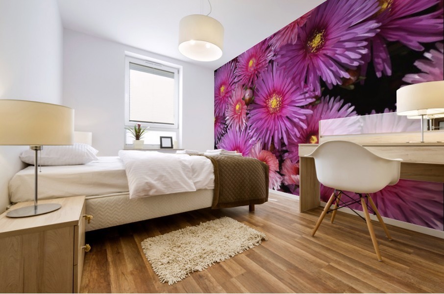 Pink Ice Plant Mural print