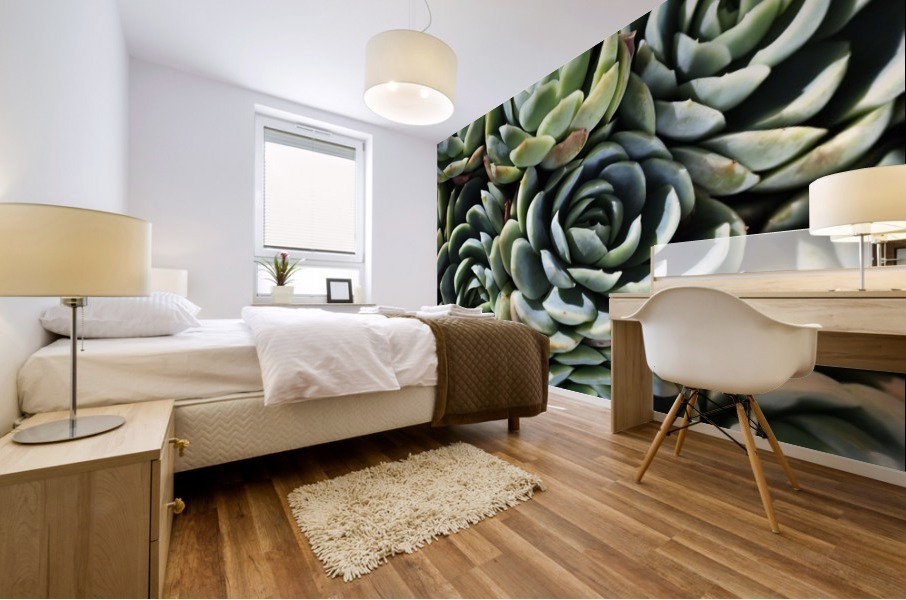 Succulent World Mural print