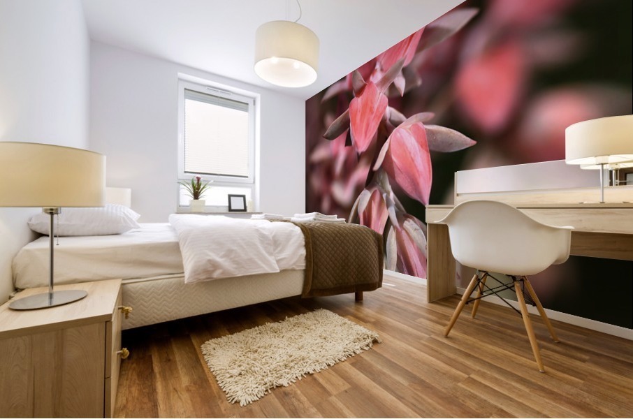Succulent Flowers Mural print
