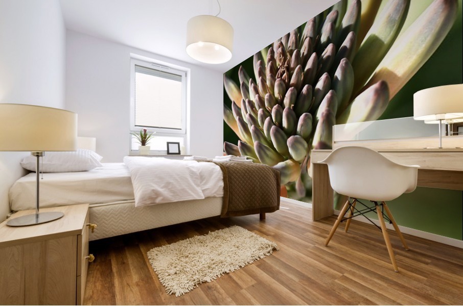 Cactus Bloom Mural print