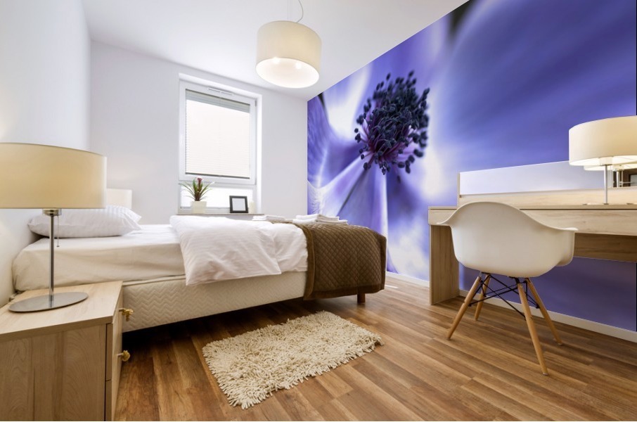 Blue Anemone Mural print