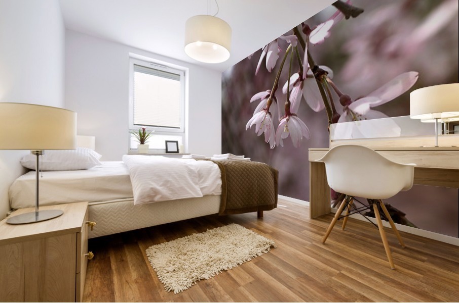 Weeping Cherry Mural print