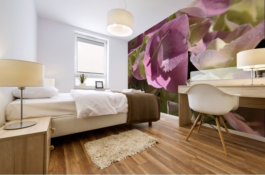 Hydrangea In Pink Mural print