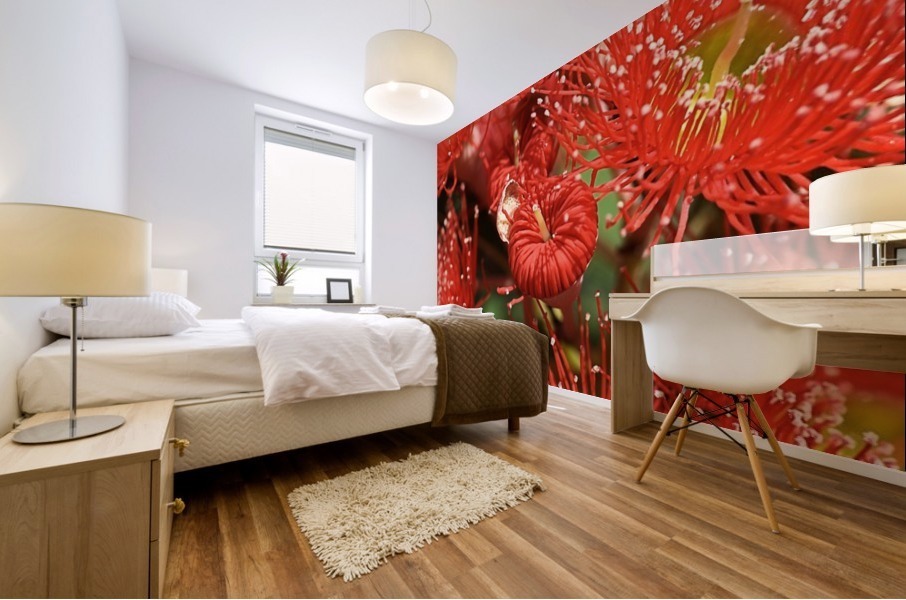 Red Eucalyptus flowers Mural print