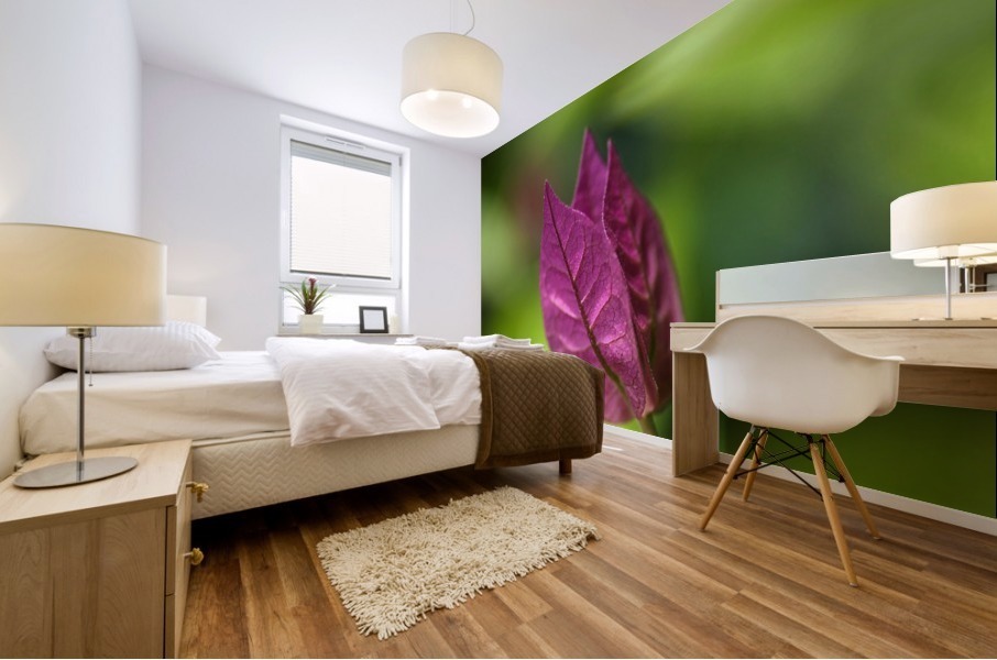 Bougainvillea  Mural print
