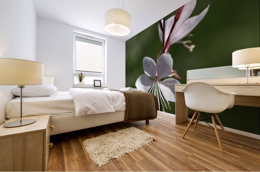 Gaura Flowers Mural print