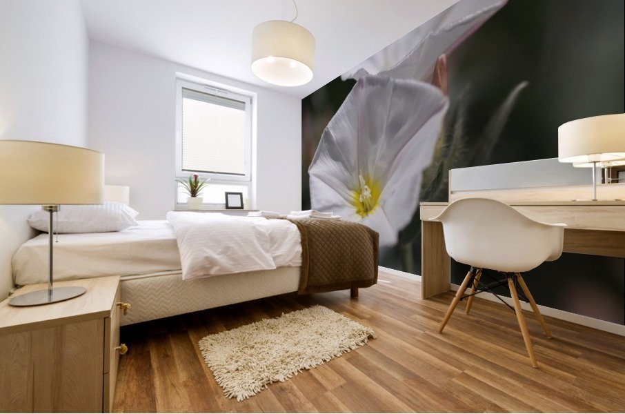 Morning Glory Mural print