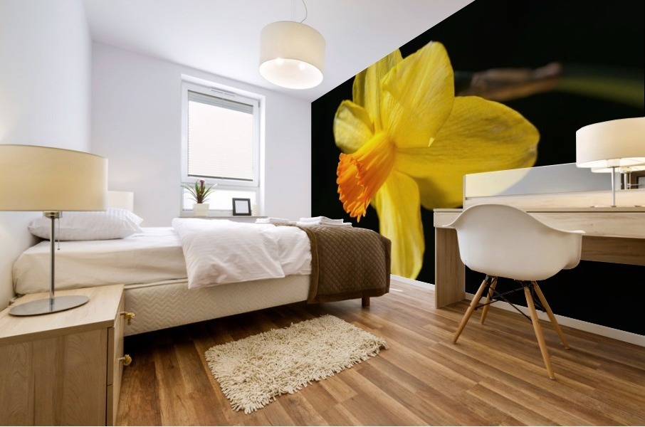 Daffodil Yellow Mural print