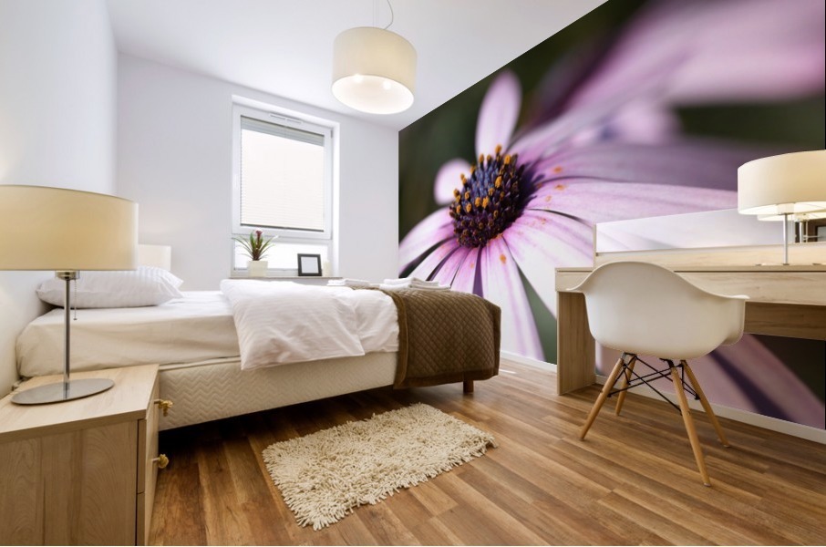 Daisy Pink Mural print