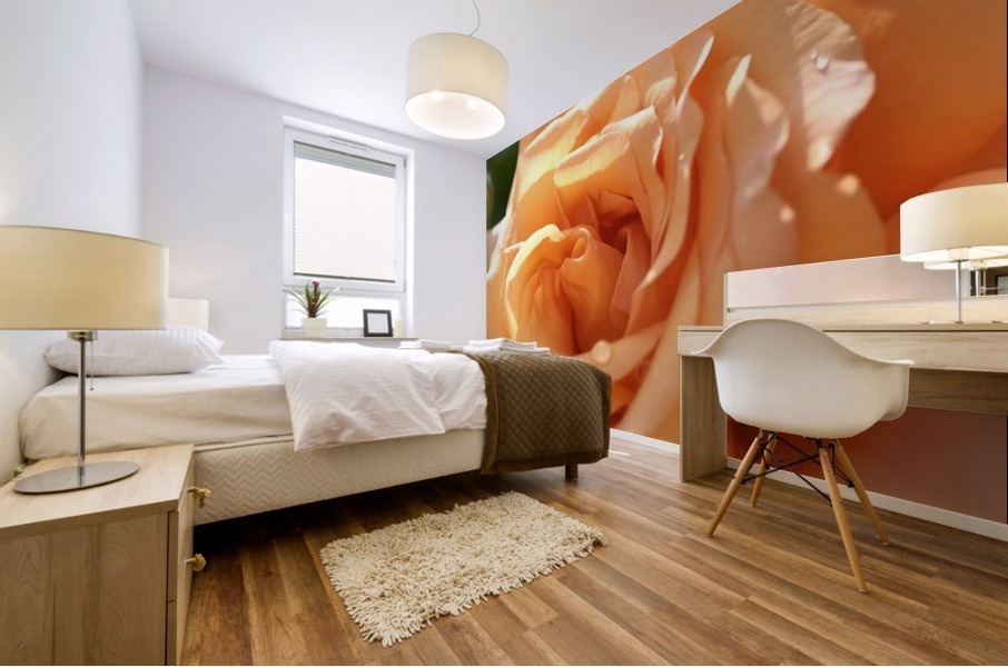 Open Orange Rose Mural print