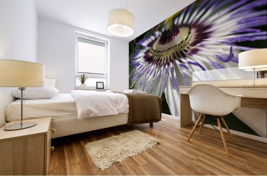 Passion Flower Mural print