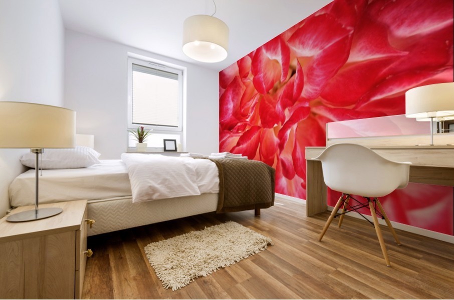 Red Rose Petals Mural print
