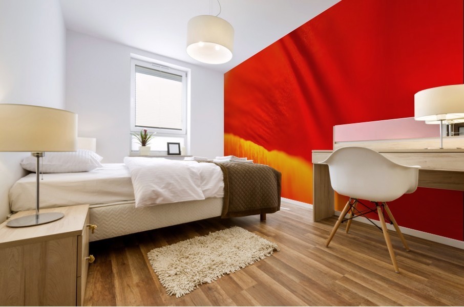 Dear Tulip Mural print