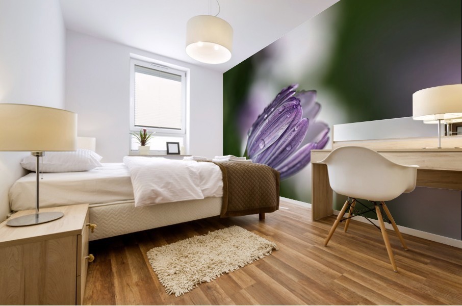 Daisy Bud Mural print