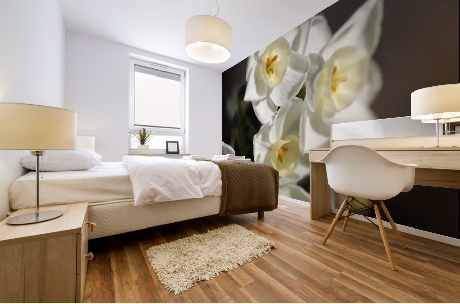 Jonquils Romance Mural print