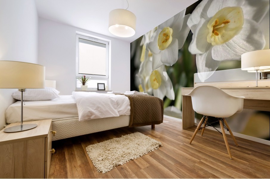 Jonquils Ring Mural print