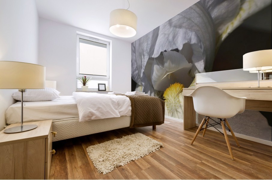 White Iris Mural print