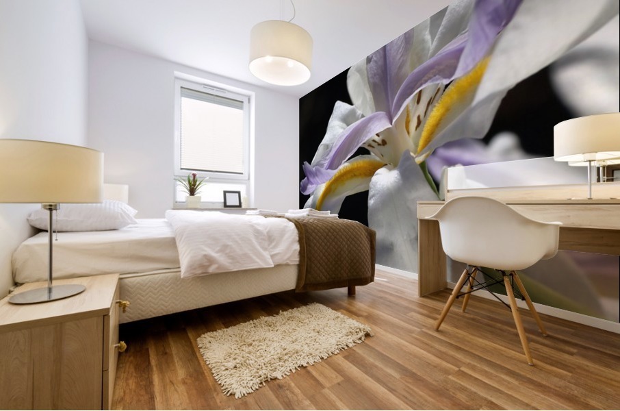Iris White and Yellow Mural print