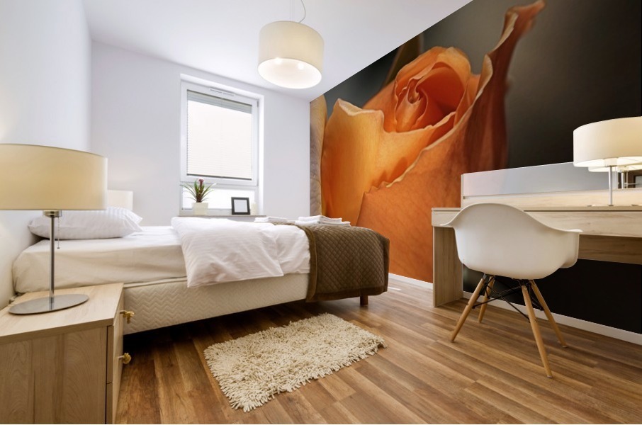 Romance Orange Rose Mural print