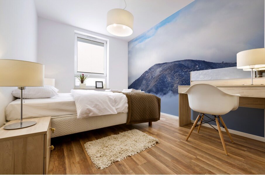 Snow Dusting Mt Bogong Mural print