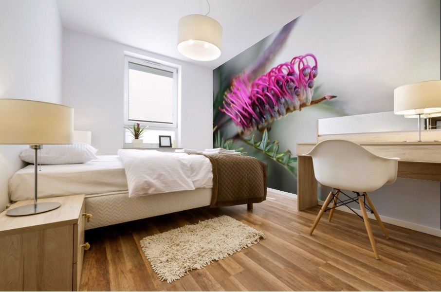 Grevillea In Pink Mural print