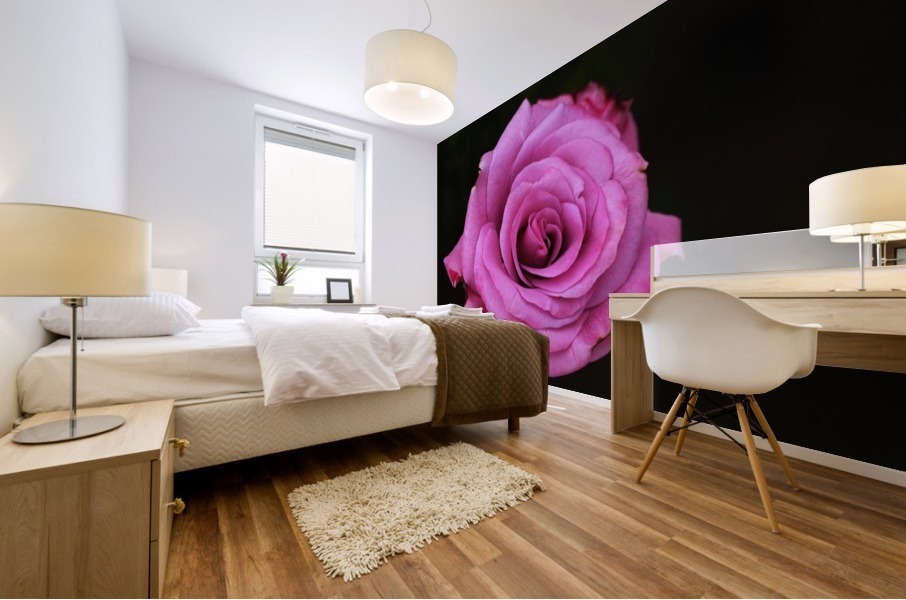 Divine Pink Rose Mural print