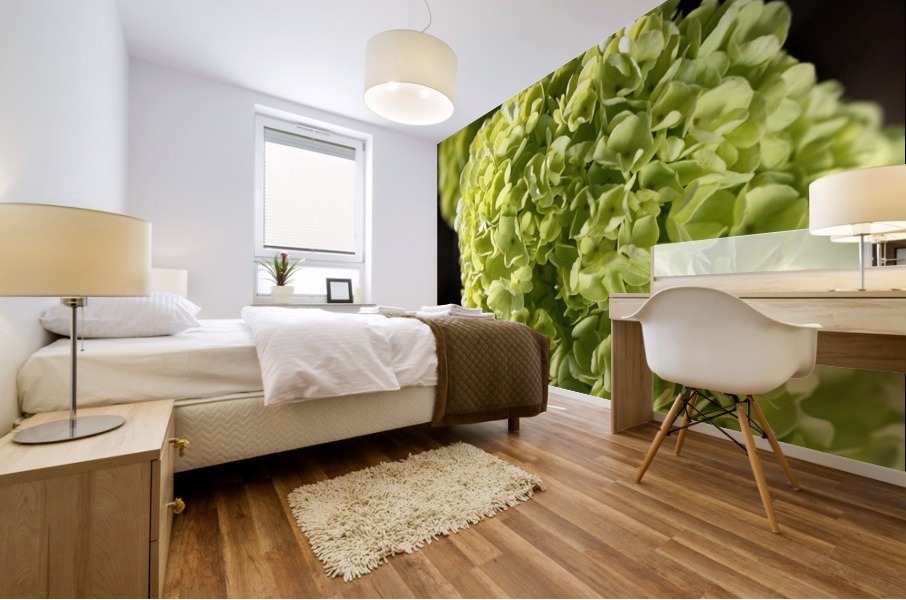 Green Snowball Flowers Mural print