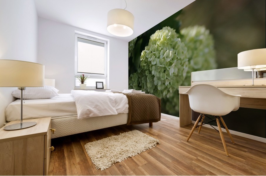 The Snowball Flower Mural print