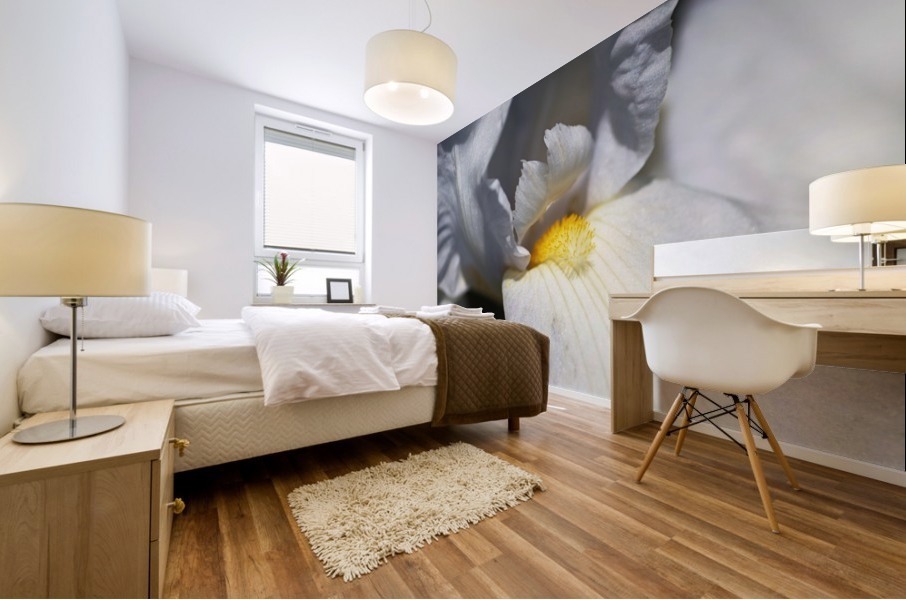 Large White Iris Flower Mural print