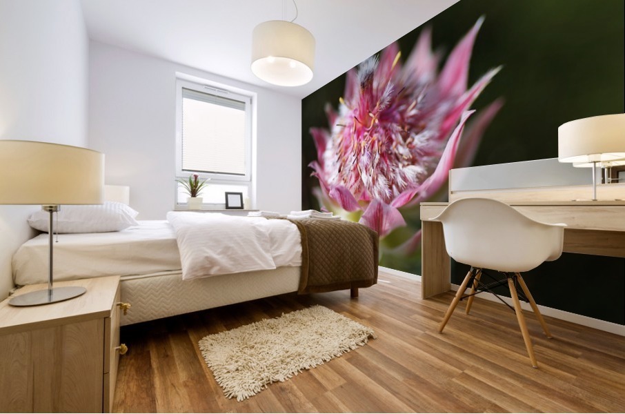 Protea Small Pink Flowers Mural print