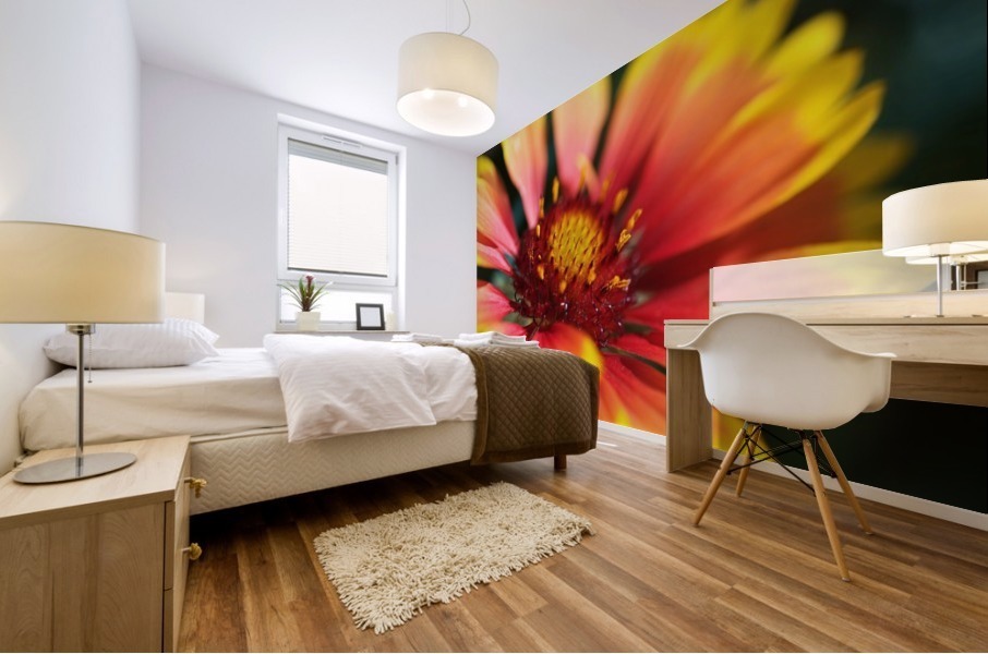  Blanket Flower Mural print