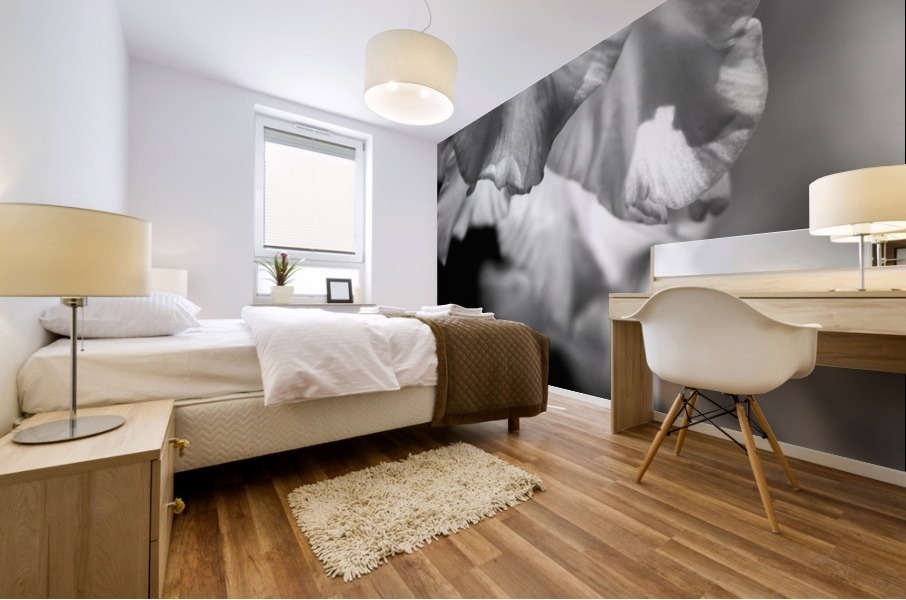 Gladiolus Petals Dance Mural print