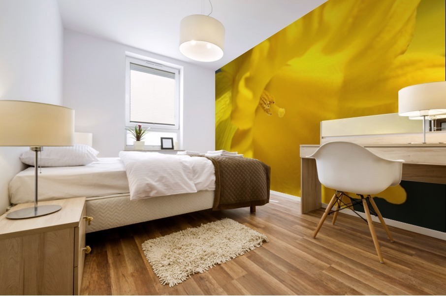 Daffodil Yellow Up Close Mural print