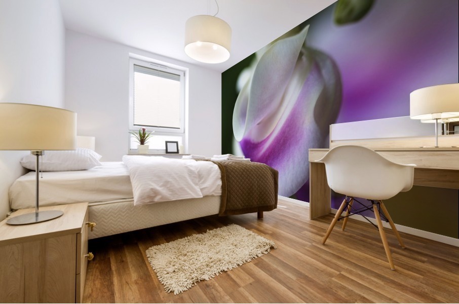 Corkscrew Flower Curls Mural print