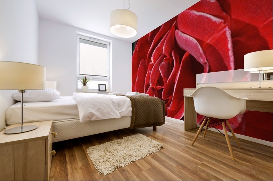 Romance Red Rose Mural print