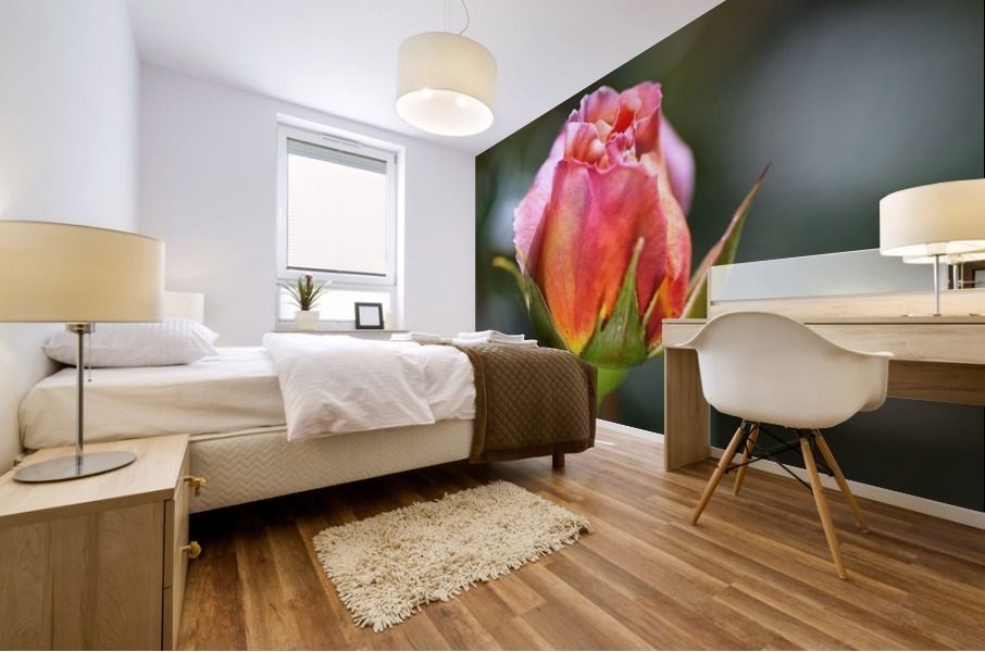 Two Pink Rose Buds Mural print
