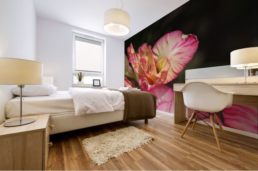 Gladiolus Display Mural print