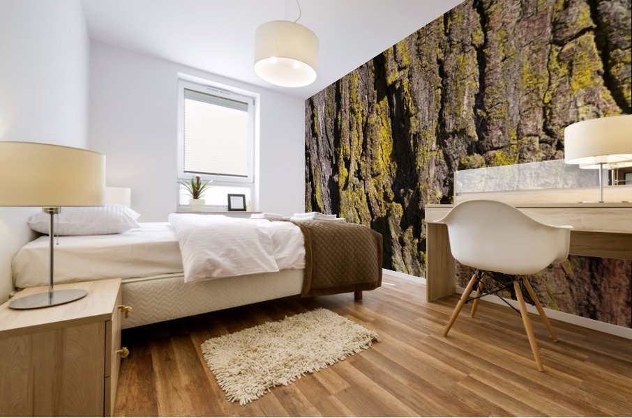 Moss Art Eucalyptus Bark  Mural print