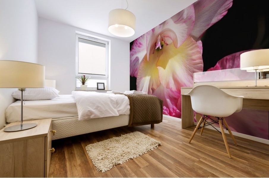 Gladiolus Seeing Double  Mural print