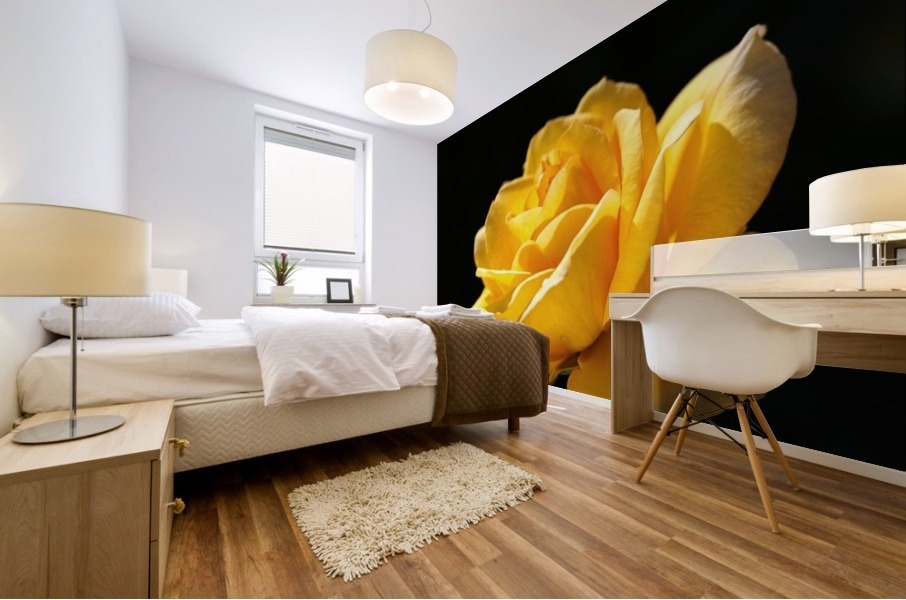 Rose Glowing Yellow Mural print