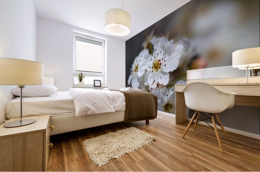 Blossom Spring Delight  Mural print